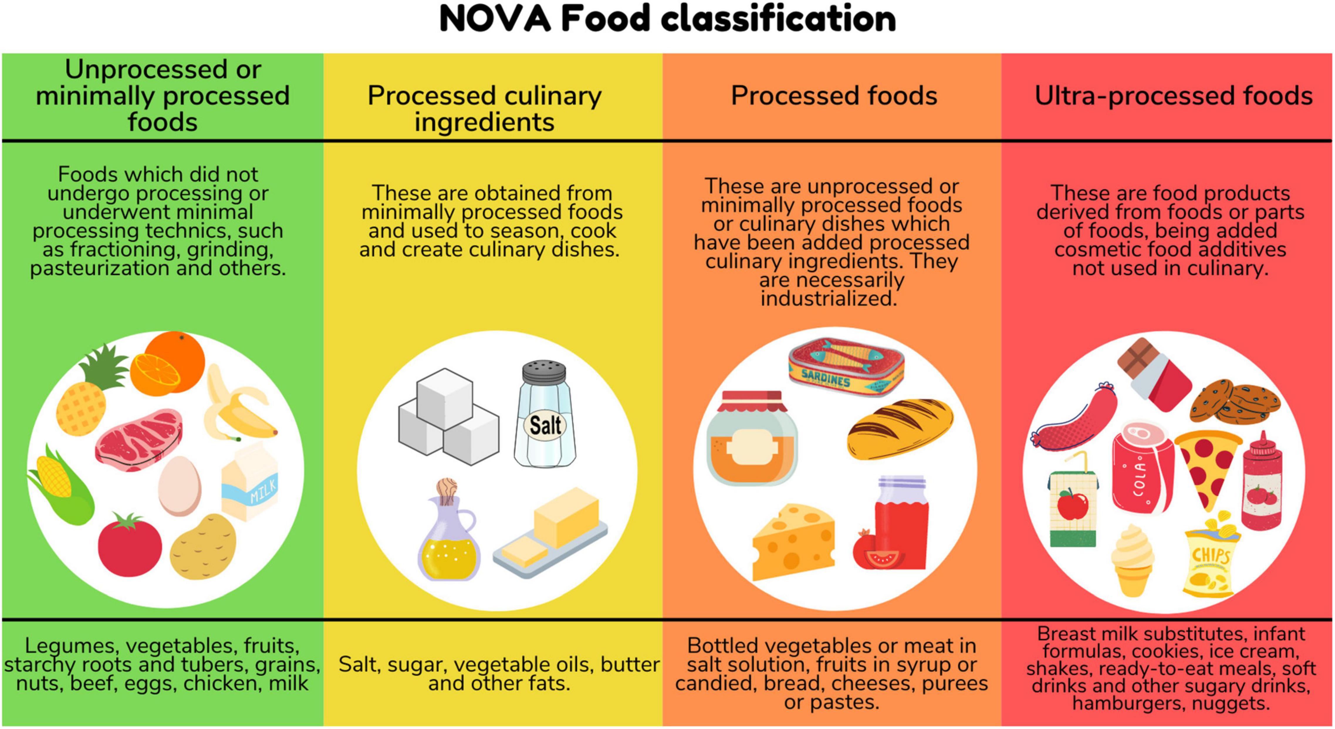 The NOVA food classification system