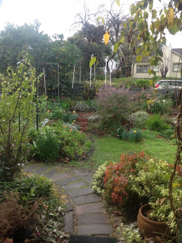 Olwyn Smiley's Food Garden in Heathmont