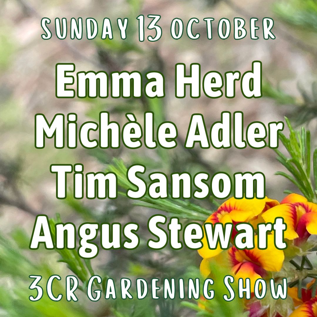 13 October, Emma Herd joined by Michèle Adler, Tim Sansom and Angus Stewart 