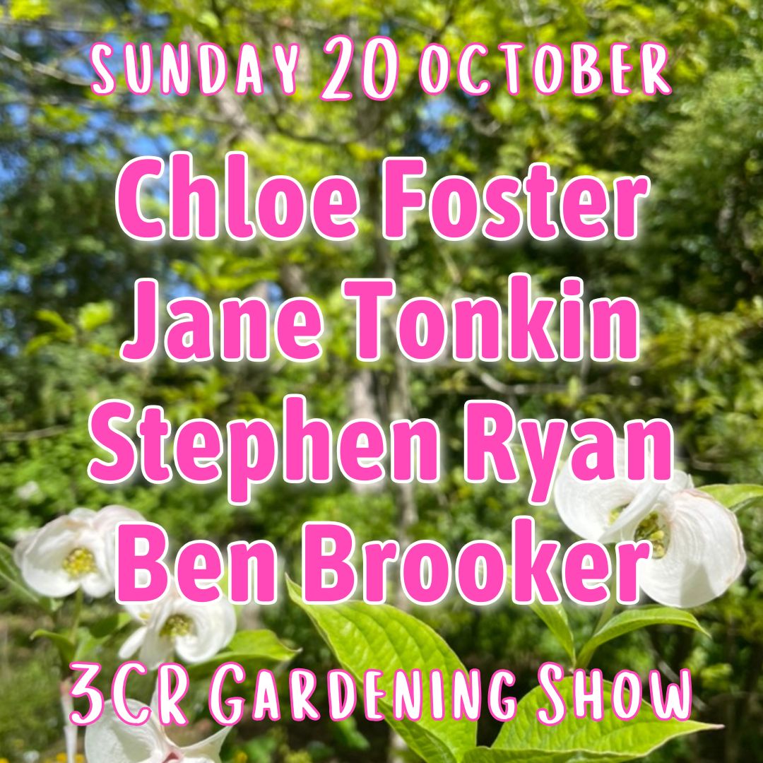 20 October, Chloe Foster joined by Jane Tonkin, Stephen Ryan and Ben Brooker