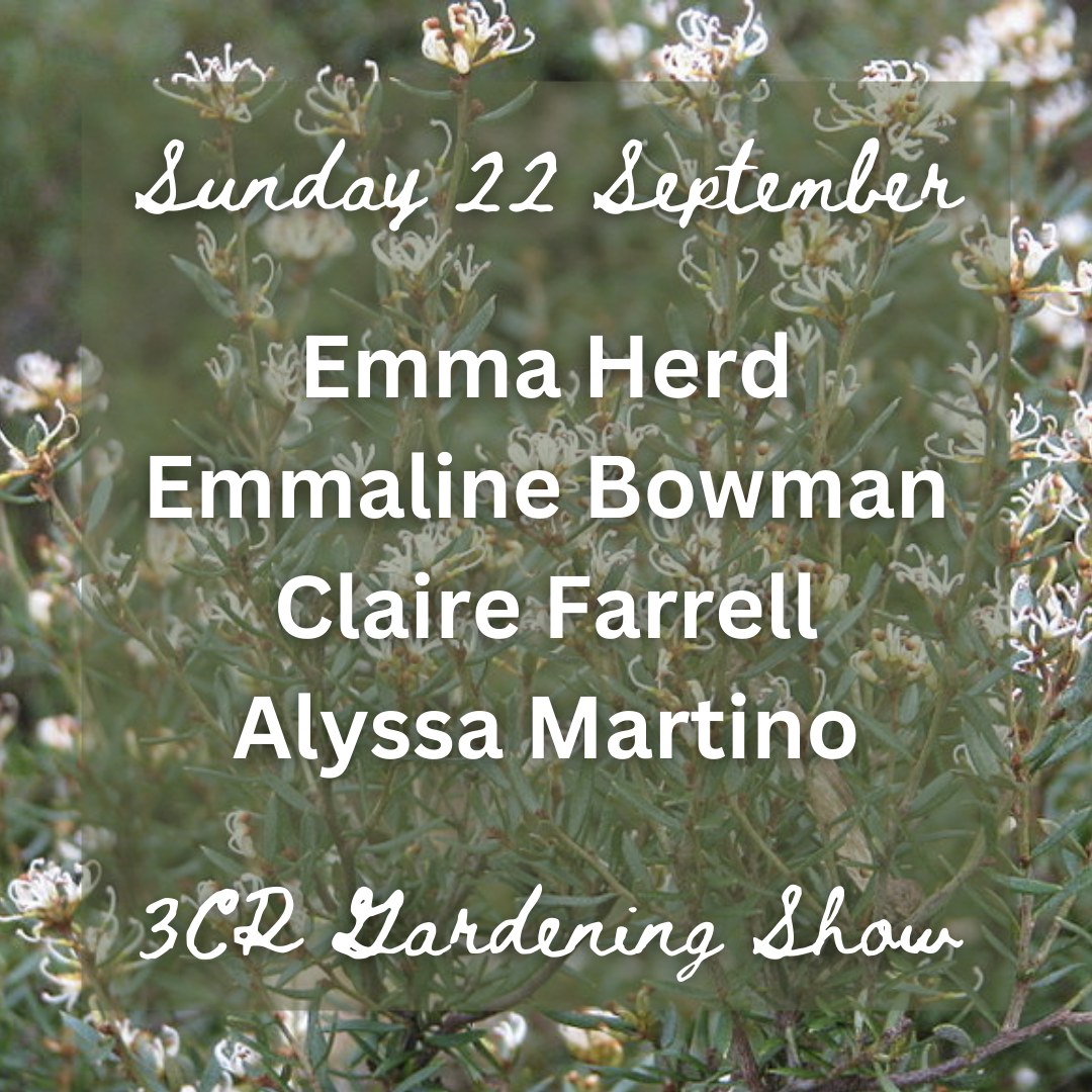 Emma Herd joined by Emmaline Bowman & Claire Farrell 