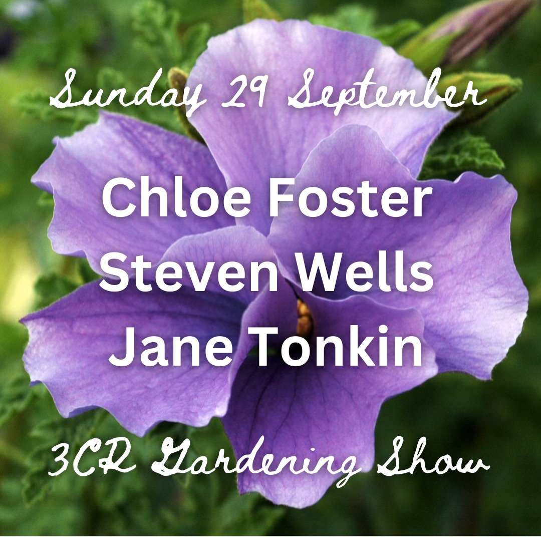 29 September, Chloe Foster joined by Steven Wells and Jane Tonkin