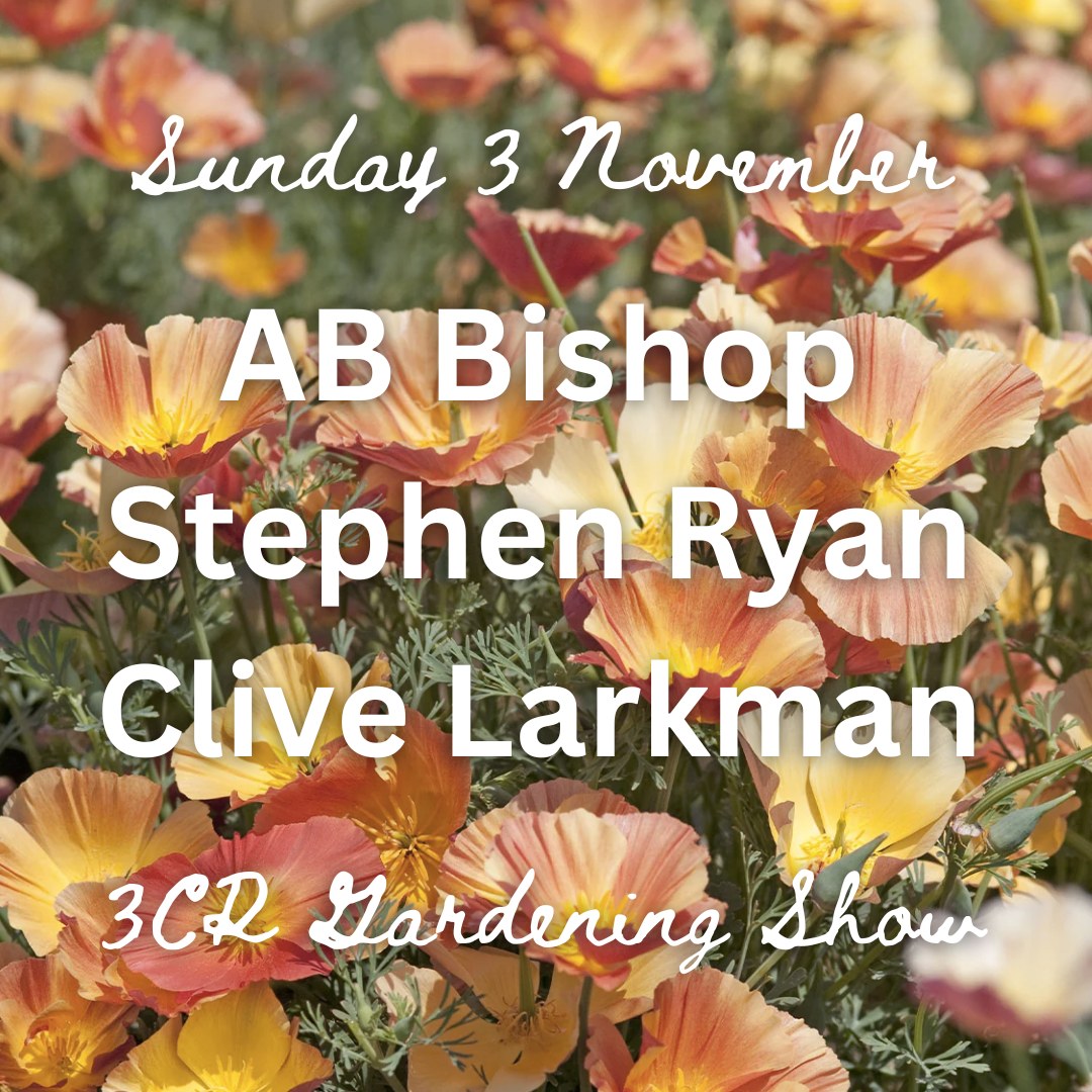 3 November, AB Bishop, Stephen Ryan and Clive Larkman