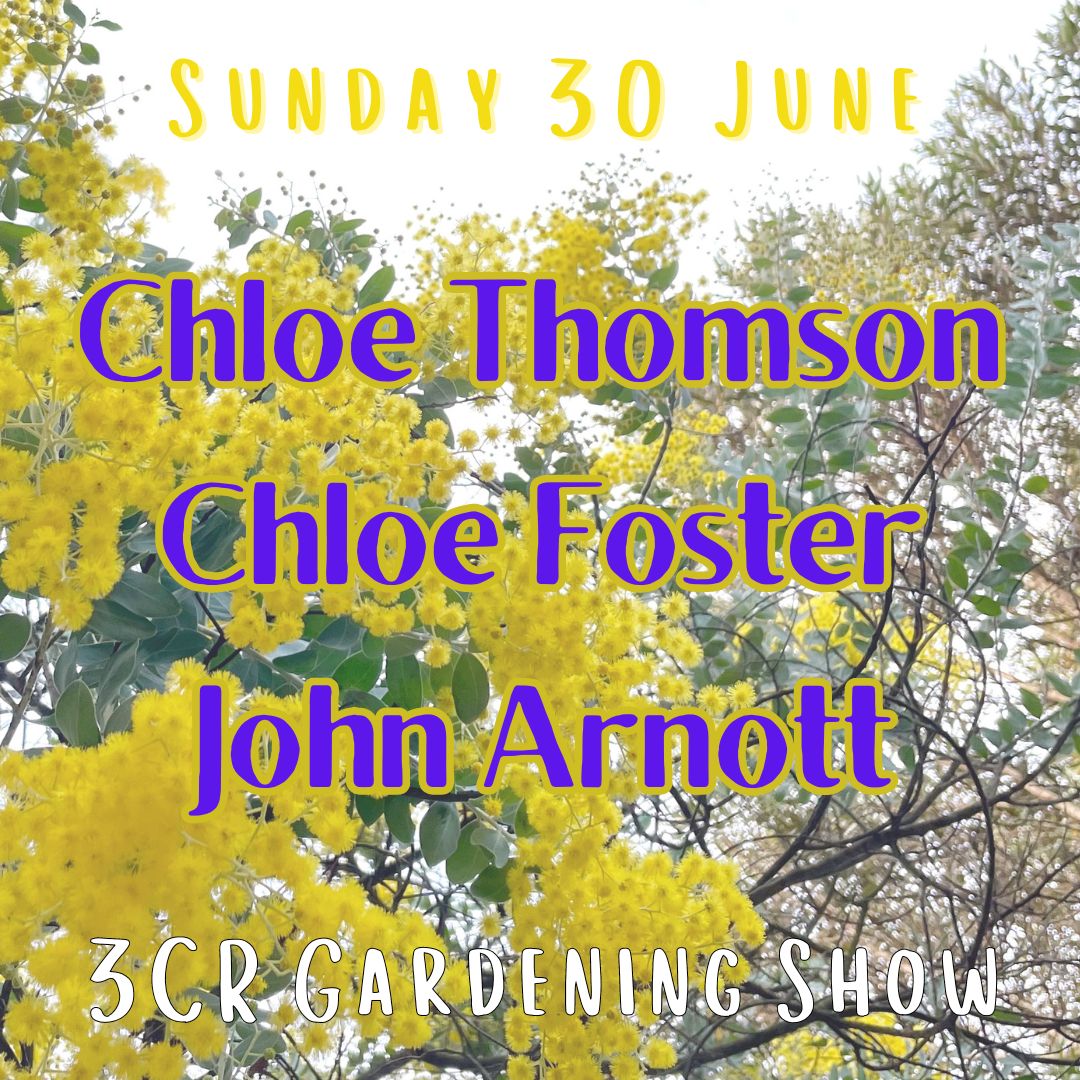 30 June, Chloe Thomson, Chloe Foster and John Arnott
