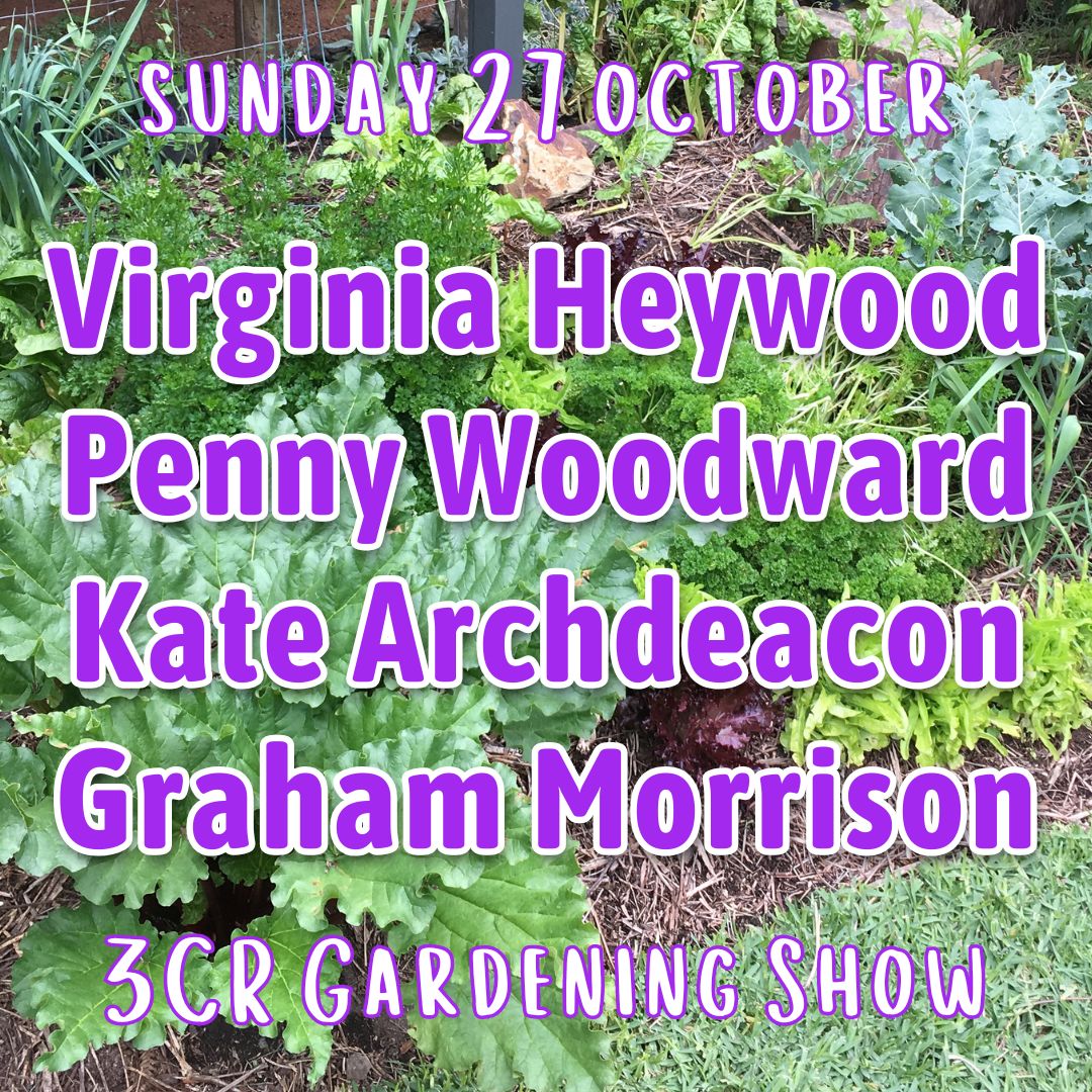 27 October, Virginia Heywood joined by Penny Woodward, Kate Archdeacon and Graham Morrison