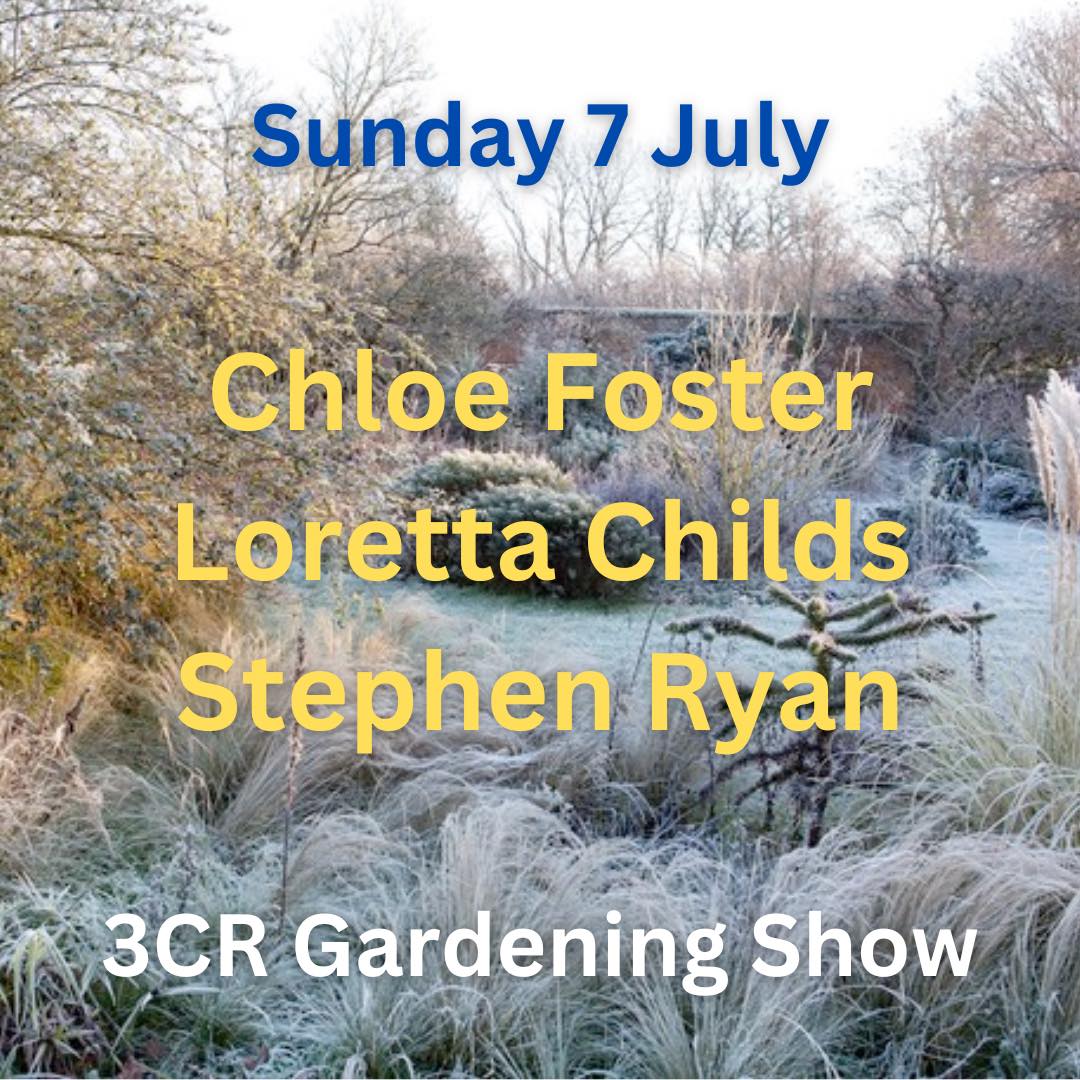 7 July, Chloe Foster joined by Loretta Childs and Stephen Ryan