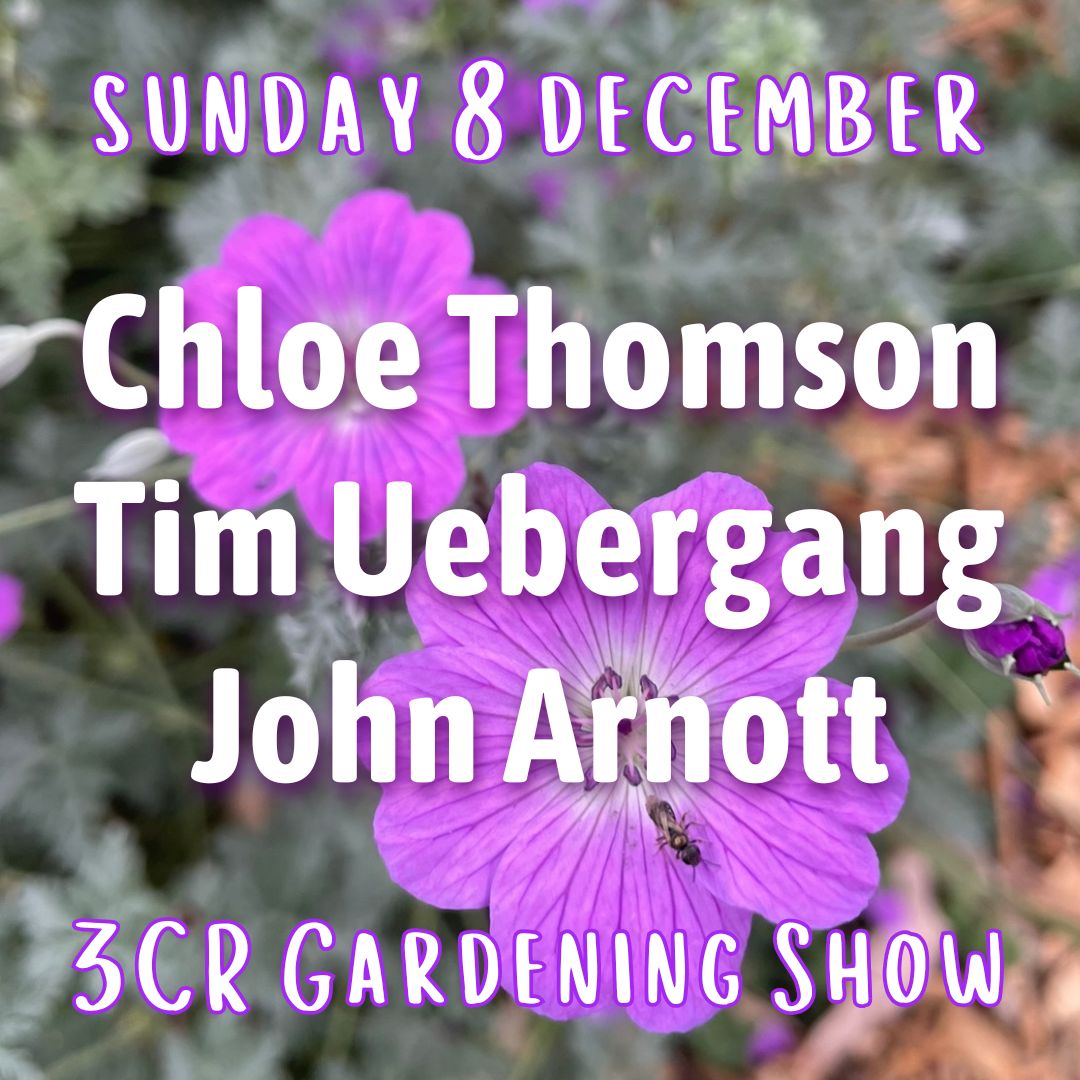 8 December, Chloe Thomson joined by Tim Uebergang and John Arnott