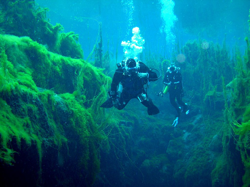 Cave diving in South Australia (Photo by Mark Whatmough, via Wikimedia Commons)