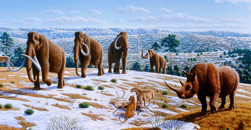 Woolly mammoths and rhinoceroses with other Ice Age fauna of northern Spain (Image by Mauricio Antón, via Wikimedia Commons)