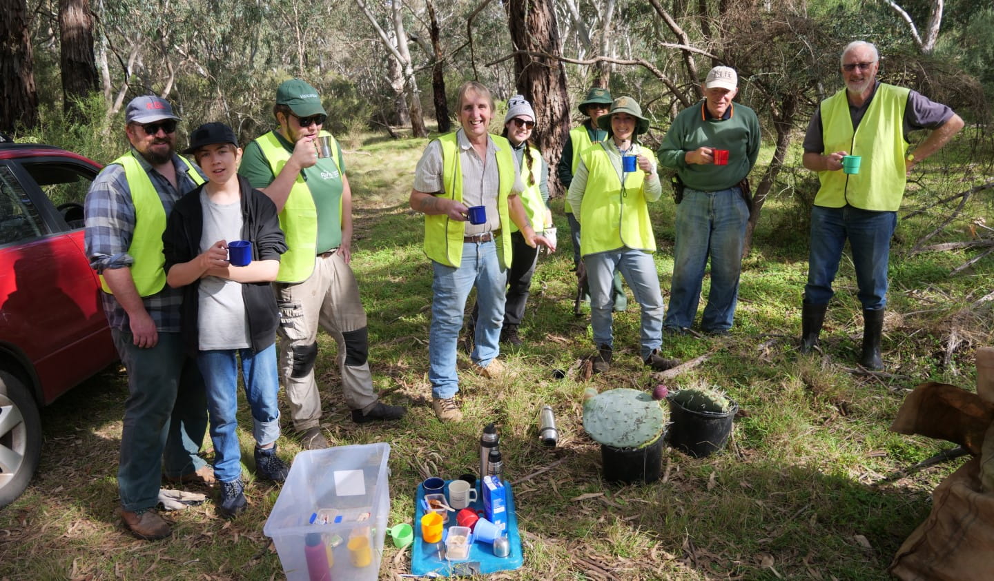 Volunteer members of the Friends of Organ Pipes National Park taking a break between weeding