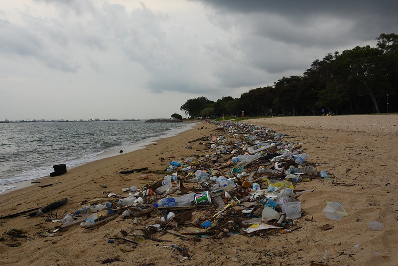 Plastic Pollution on Beach