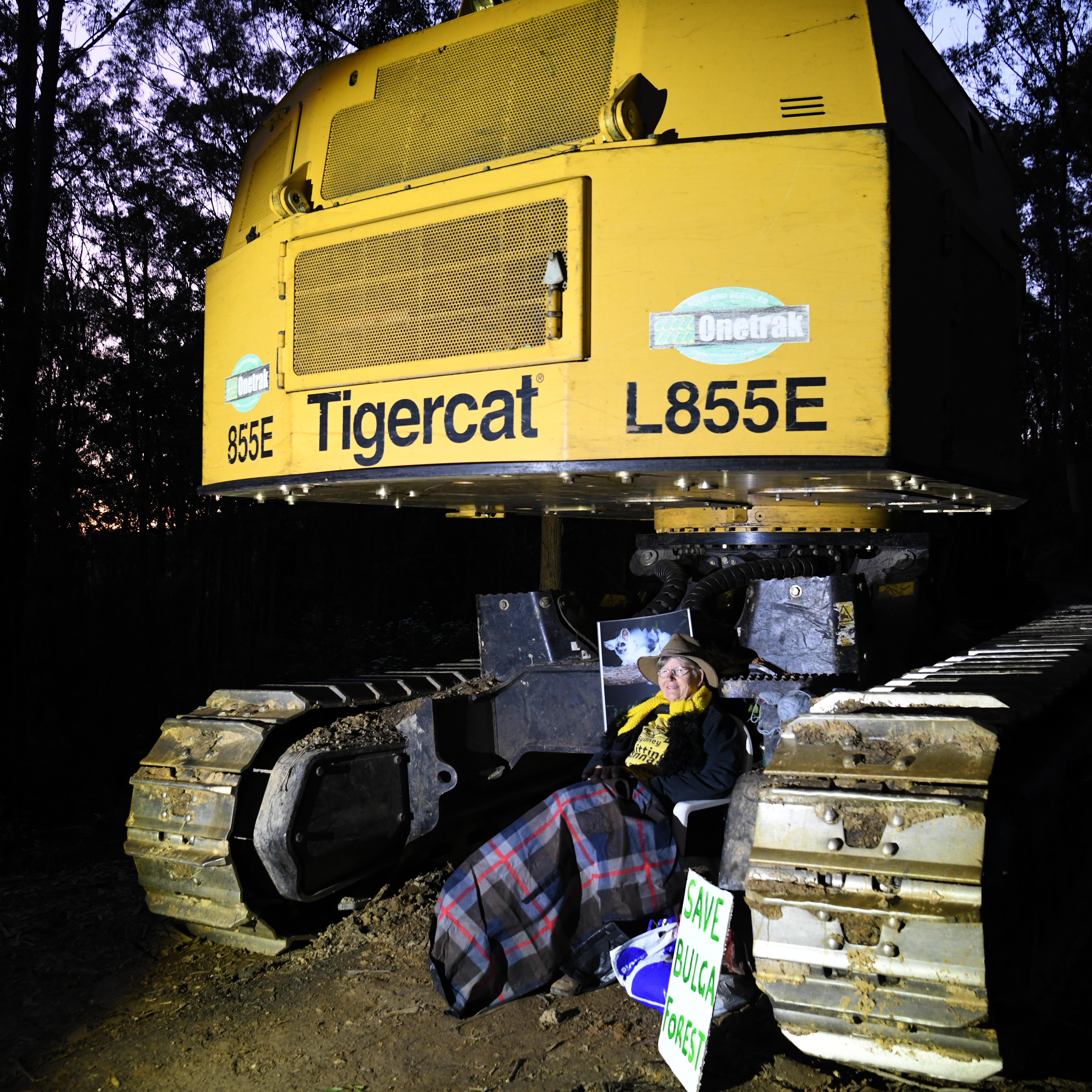 This is Nature Positive . Bronwyn Vost The Librarian v The Tiger.Photo: Save Bulga Forest