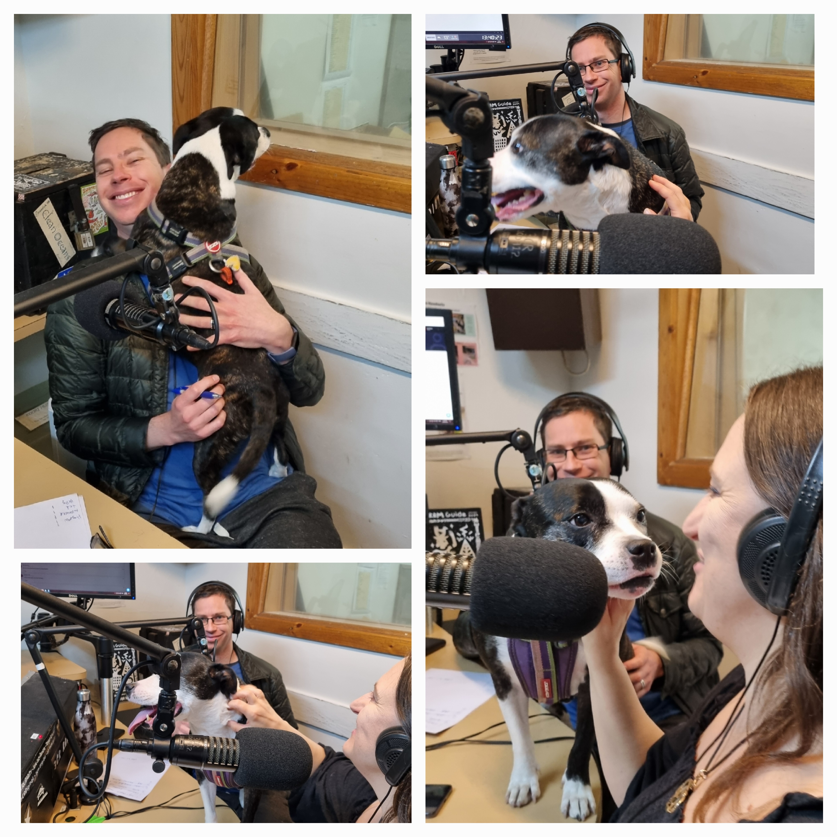Photos of Meg, Nick and Moo Moo in the 3CR studio