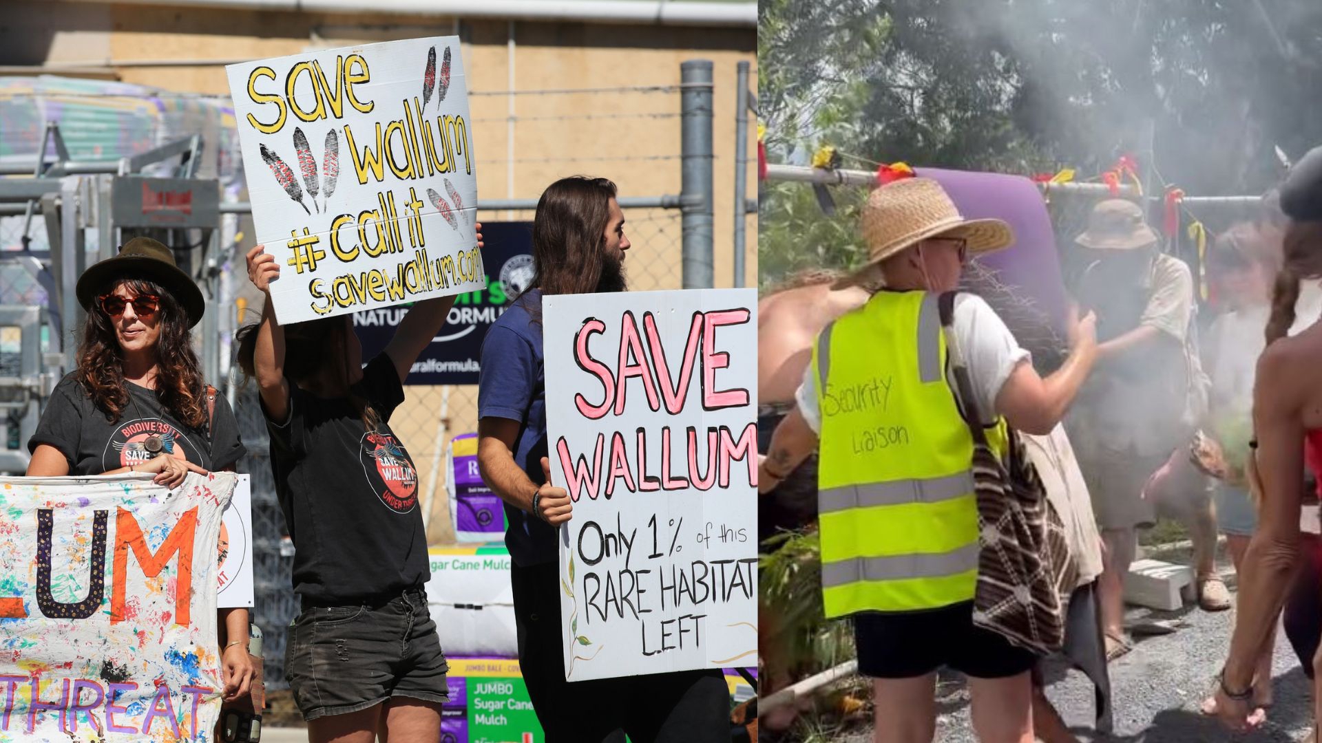 Protestors rally to save Wallum nature reserve