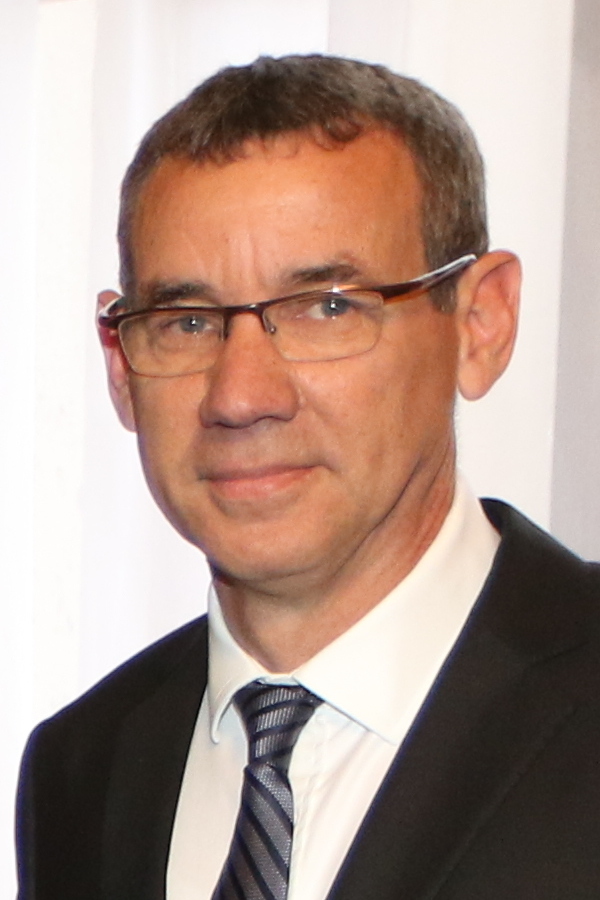 Mark Regev, Wikipedia