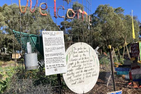 A picture of the entrance to the radical roots garden. A beautiful vegetable garden sitting behind a fence with hand painted signs. 