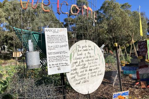 A picture of the entrance to the radical roots garden. A beautiful vegetable garden sitting behind a fence with hand painted signs. 