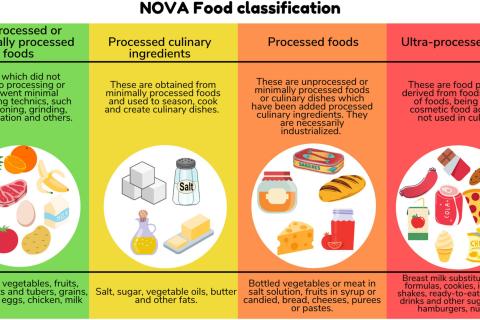 The NOVA food classification system