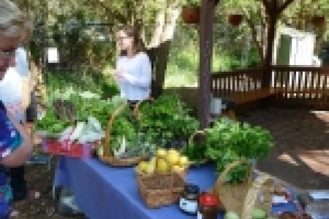 Backyard yields at the Warrandyte Food Swap