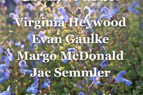 1 December, Virginia Heywood joined by Evan Gaulke, Margot McDonald and Jac Semmler