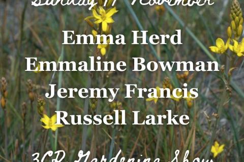 17 November, Emma Herd joined by Emmaline Bowman, Jeremy Francis and Russell Larke