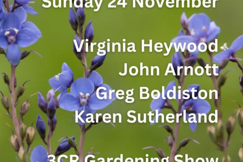 24 November, Virginia Heywood joined by John Arnott, Greg Boldiston and Karen Sutherland