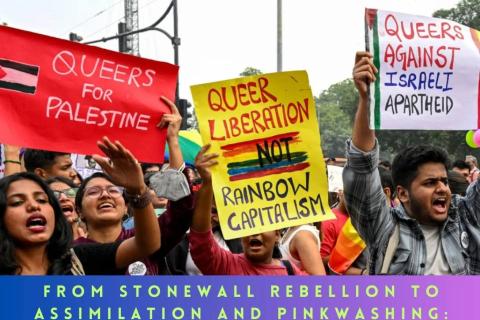From Stonewall Rebellion to Assimilation and Pinkwashing event image
