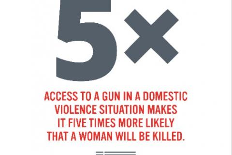 In the USA Women are 5 times more likely to be killed if a gun is available in family violence