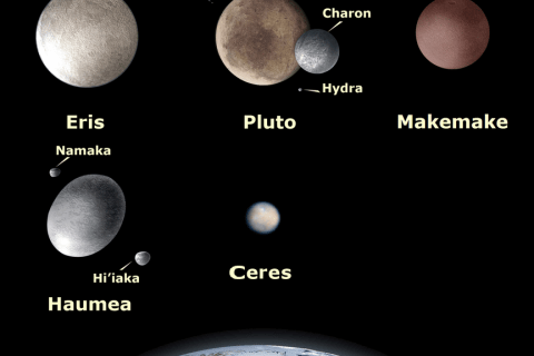 The five official dwarf planets, with Earth for scale (image by JorisvS, via Wikimedia Commons)