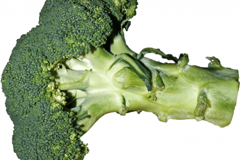 Broccoli, photo by Tiia Monto, via Wikimedia Commons