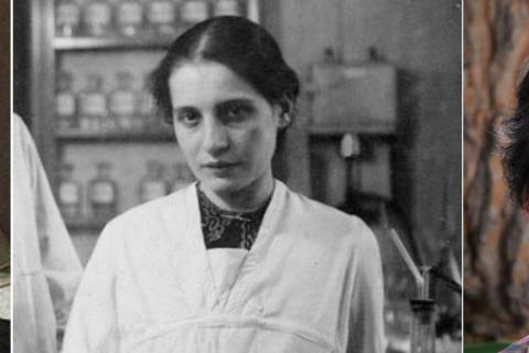 Left to right: Maria Sibylla Merian, Lise Meitner and Margaret Wu