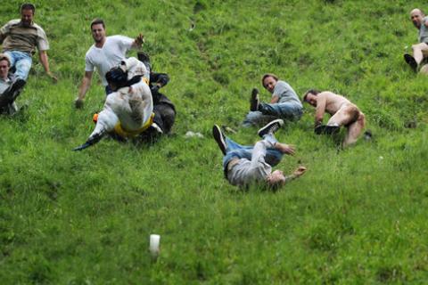 Cheese rolling festivals are found around the world. 