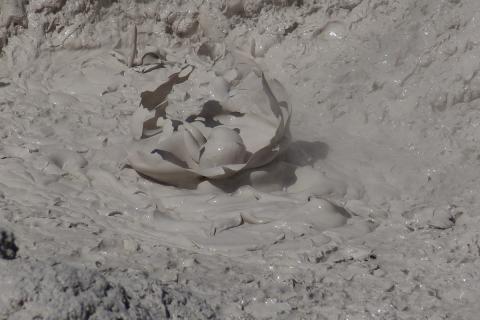 Boiling mud in Rotorua