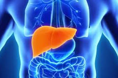 Hepatitis in the Liver 