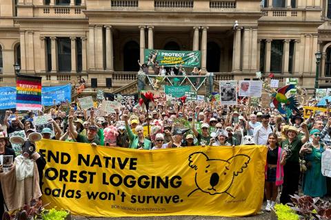 BobBrown Foundation Rally Sydney Nov 3rd STOP NATIVE FOREST LOGGING