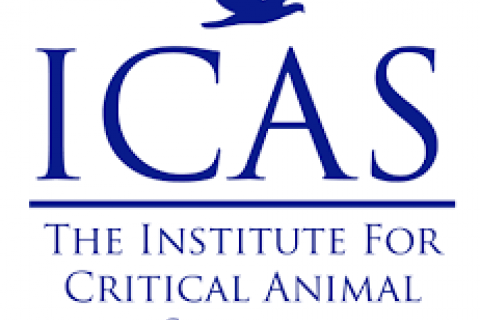 ICAS logo