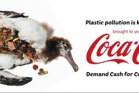 Coca cola's pollution & Tribute for forests Activists