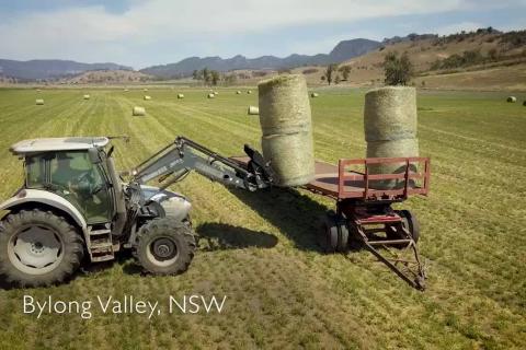 A tractor and hay in a lovely field of mown hay in the beatiful Bylong Valley 