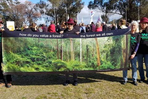 Friends of the Forest with Corunna Forest Protection Group and Canberra Forest Alliance at Stand Against  Extinction rally, Parliament House  Canberra. 