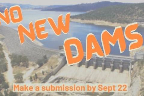No New Dams