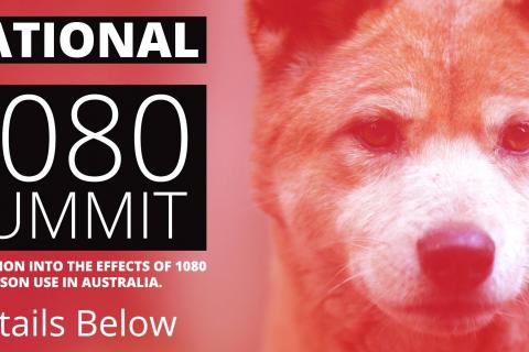 Dingo face and "National 1080 Summit"