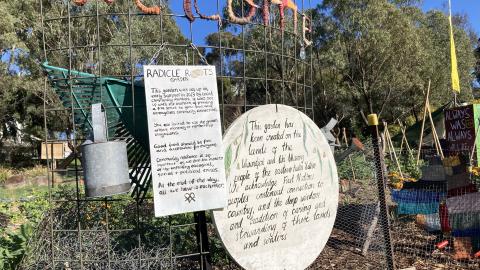A picture of the entrance to the radical roots garden. A beautiful vegetable garden sitting behind a fence with hand painted signs. 