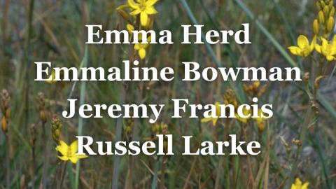 17 November, Emma Herd joined by Emmaline Bowman, Jeremy Francis and Russell Larke