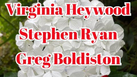 22 December, Virginia Heywood joined by Stephen Ryan and Greg Boldiston