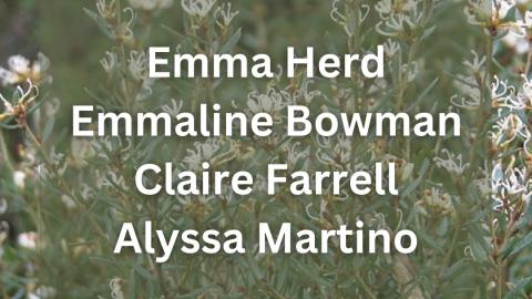 Emma Herd joined by Emmaline Bowman & Claire Farrell 