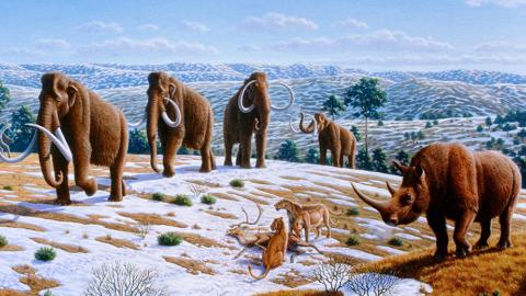 Woolly mammoths and rhinoceroses with other Ice Age fauna of northern Spain (Image by Mauricio Antón, via Wikimedia Commons)