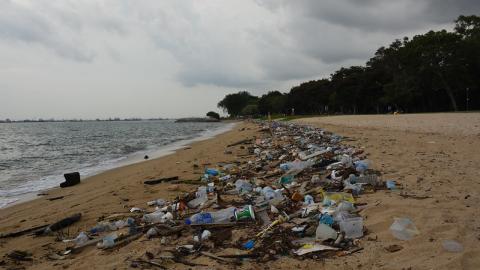 Plastic Pollution on Beach