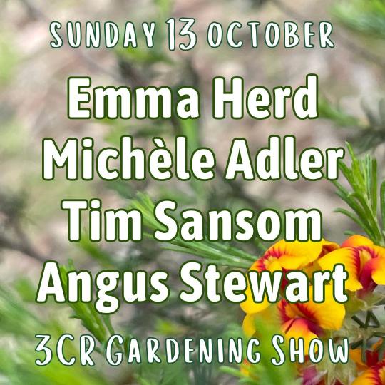 cover of episode 13 October, Emma Herd joined by Michèle Adler, Tim Sansom and Angus Stewart