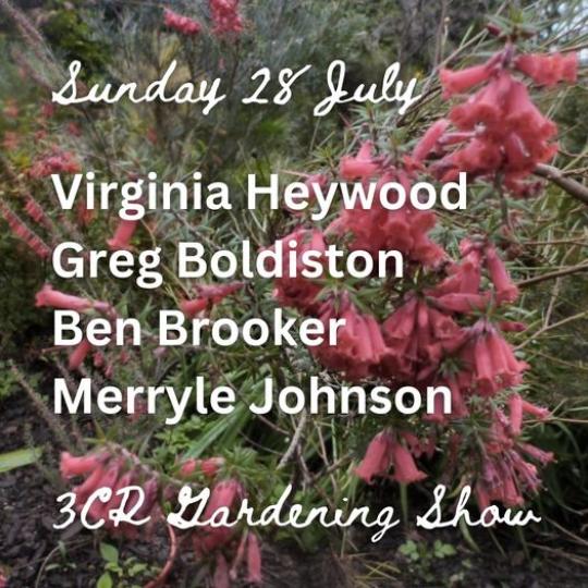 cover of episode 28 July, Virginia Heywood joined by Greg Boldiston, Ben Brooker and Merryle Johnson