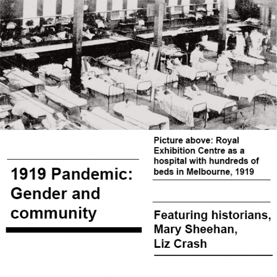 cover of episode 1919 Pandemic: Gender and community